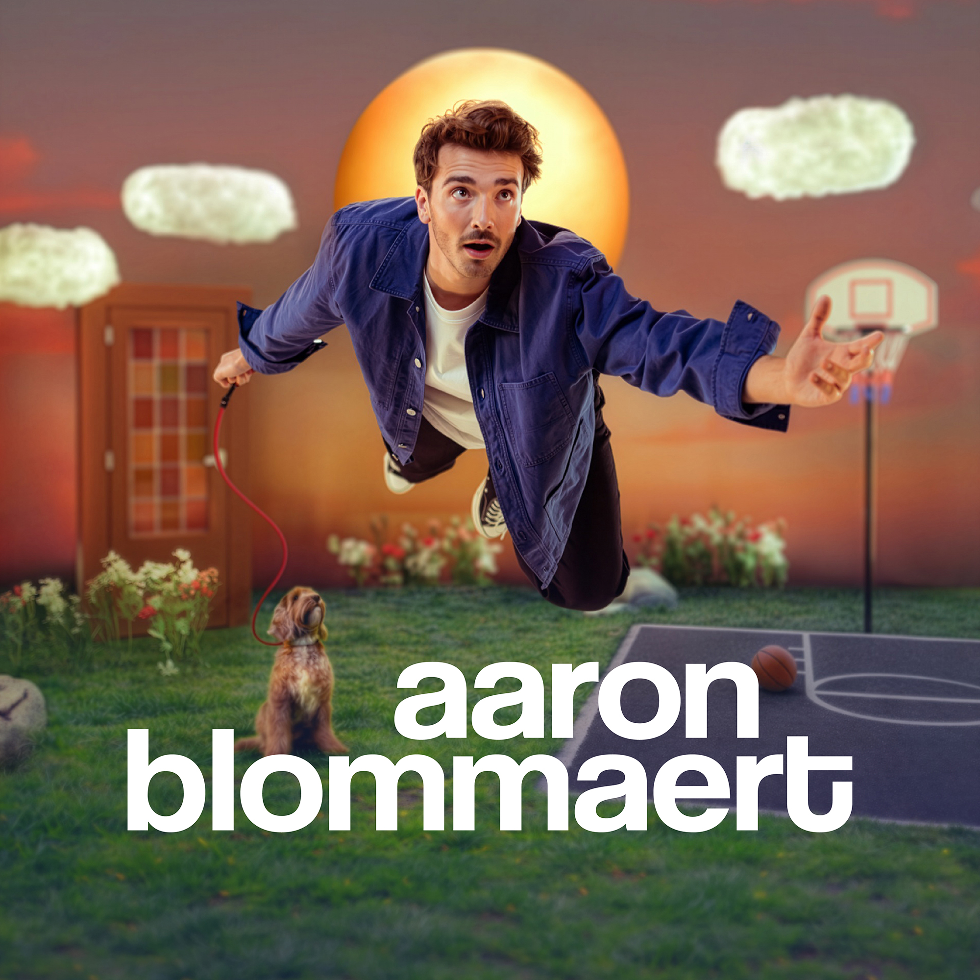 Banner afbeelding van Aaron Blommaert